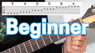 Beginner Guitar Lessons